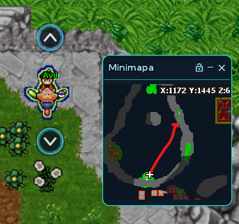 Tendo subido as escadas, aqui você já poderá utilizar seu pokémon com a habilidade 'Fly' e ir em diagonal para a quest.