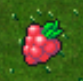 Razz Berry: Este item deve ser utilizado em corpos de pokémons. Ao usar este item, duplica-se o corpo do Pokémon para duplicar a chance de captura!